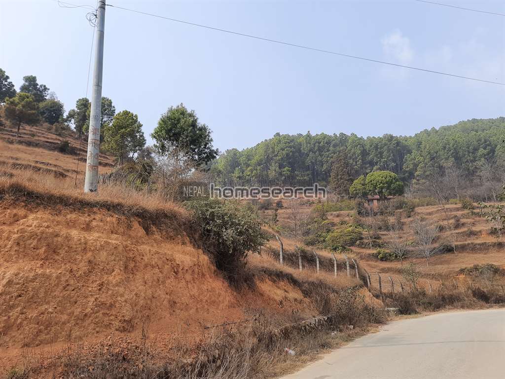 12 ropani land for sale at Lele Lalitpur
