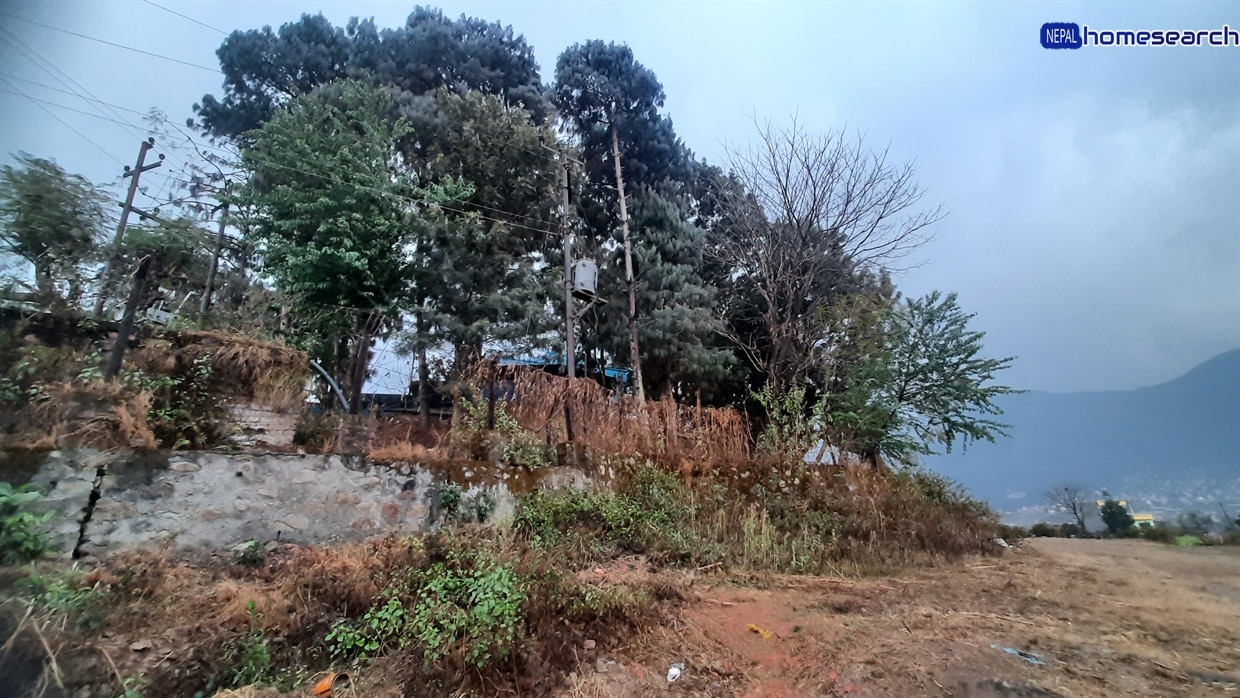 Tinthana-Chandragiri-184