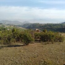 Manoj Basnet