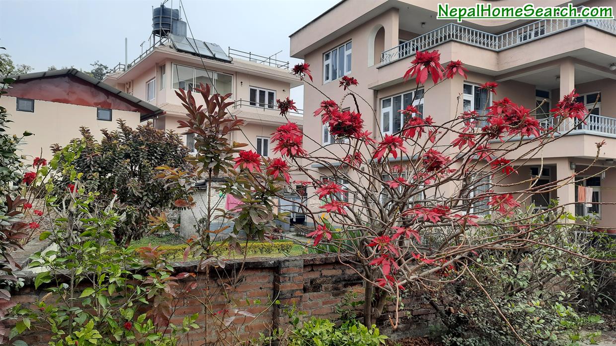 nepal-home-search-499