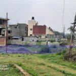 Attractive Land For Sale At Chobhar