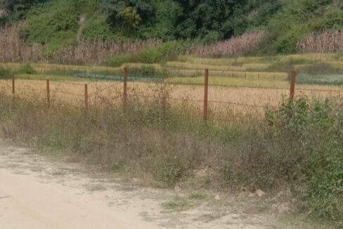 land for sale at Dukuchhap Lalitpur