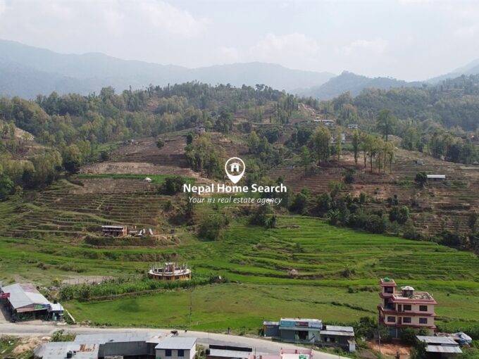 Thansing Krishi Farm: