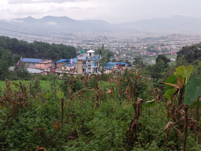 1 Ropani Land for Sale in Machhegaun, Kirtipur
