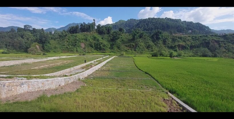 Bliss Valley Planing, godawari