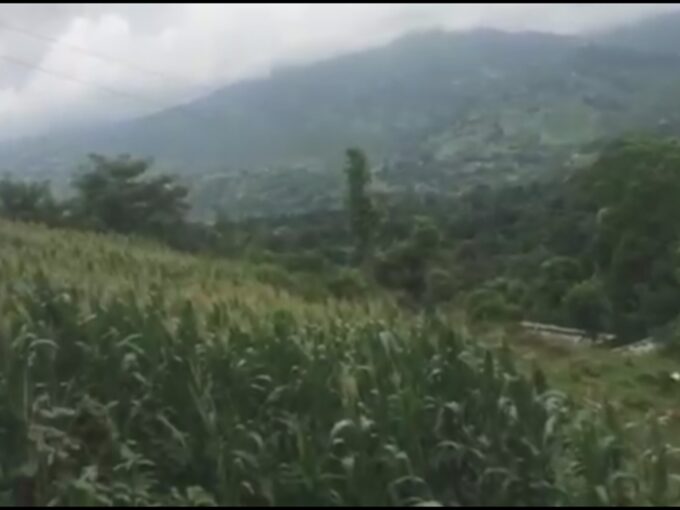 27 ropani Farmland for Sale in Panchkhal, Kavrepalanchowk!