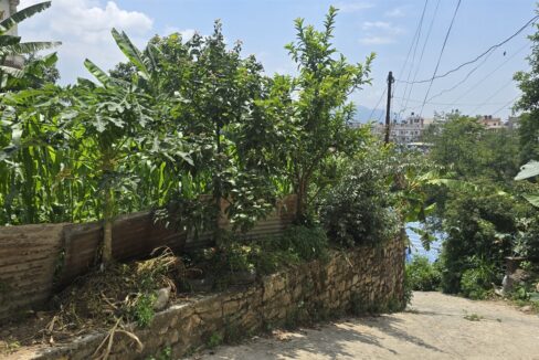 6 aana residential land for sale at Chapali Bhangal