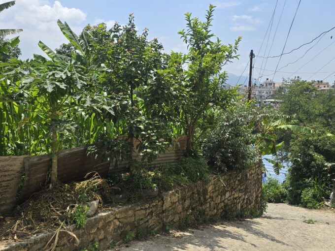6 aana residential land for sale at Chapali Bhangal
